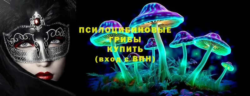 где купить наркоту  Ермолино  Псилоцибиновые грибы MAGIC MUSHROOMS 